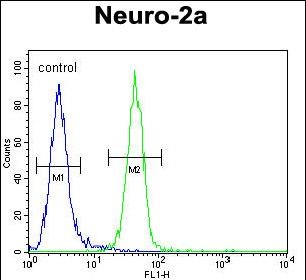 4 - RT34 Antibody (N-term) AP10991a