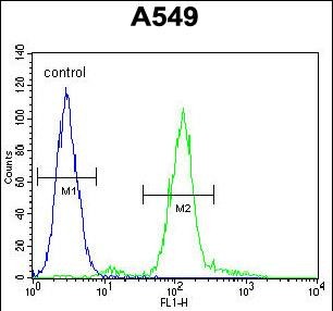 4 - ZEB1 antibody ( Ascites) AM1878A
