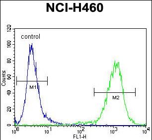 4 - MIER2 Antibody (N-term) AP11173a