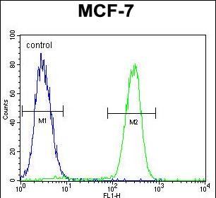 4 - RACGAP1 Antibody (N-term) AP11461a