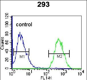 4 - GPC6 Antibody (C-term) AP11674b