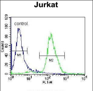 4 - JAZF1 Antibody (N-term) AP11693a