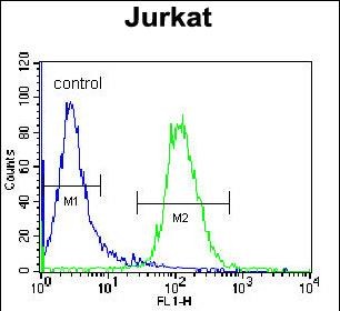 4 - NKD2 Antibody (C-term) AP12158B