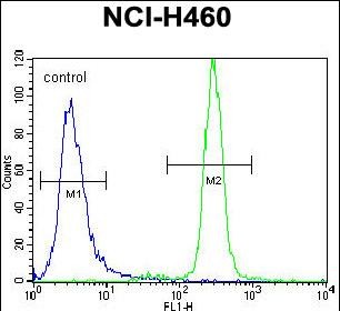 4 - UNQ3029 Antibody (Center) AP12221c