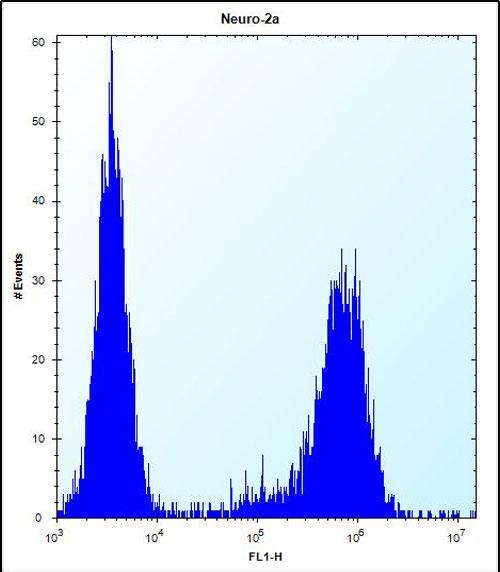 4 - MAP3K15 Antibody (N-term) AP12323c