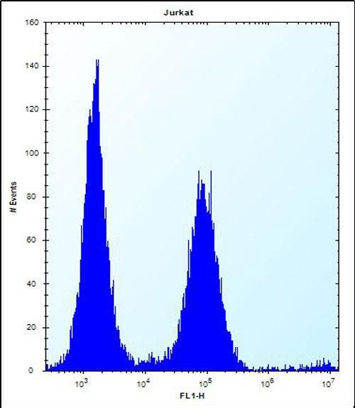 4 - PSAPL1 Antibody (N-term) AP12400a