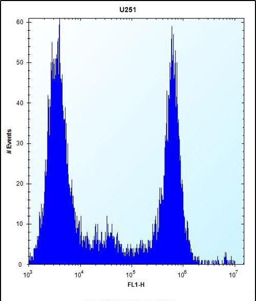 4 - VPS37B Antibody (Center) AP12426C