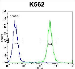 4 - EIF2C2 Antibody (N-term) AP1903a