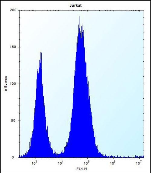 4 - DULLARD Antibody (Center) AP12805c
