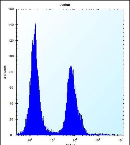 4 - SUV4-20H1 Antibody (N-term) AP12877a