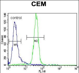 4 - PPARA Antibody (Center) AP12910c