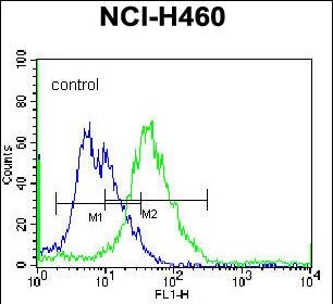 4 - PELI3 Antibody (N-term) AP13453A