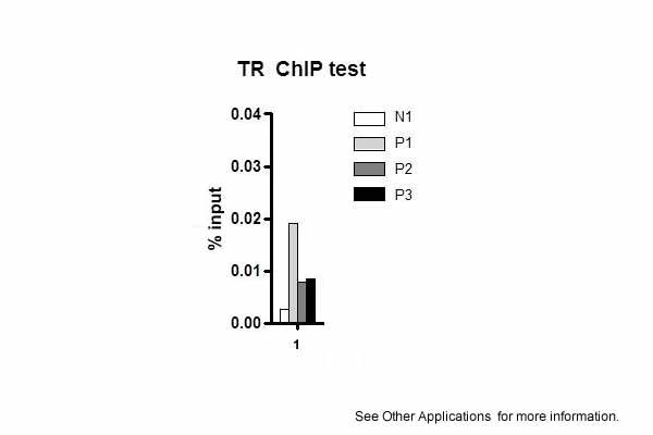 9 - Thrb antibody - N-terminal region AI11090