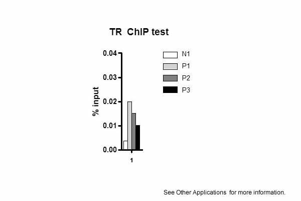 9 - Thrb antibody - N-terminal region AI11091