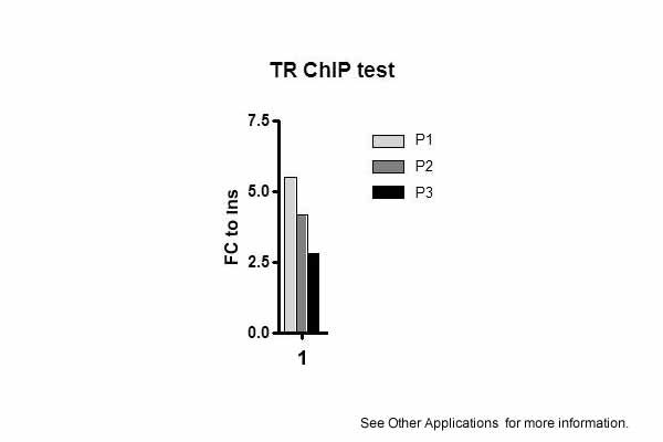 9 - Thrb antibody - N-terminal region AI11091
