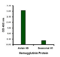 1 - Avian Influenza Hemagglutinin Antibody ASC10282