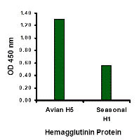 1 - Avian Influenza Hemagglutinin Antibody ASC10283