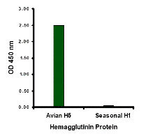 1 - Avian Influenza Hemagglutinin 3 Antibody ASC10456