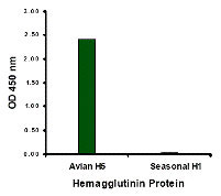1 - Avian Influenza Hemagglutinin 4 Antibody ASC10457