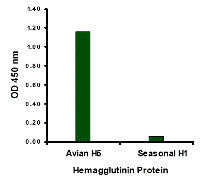 1 - Avian Influenza Hemagglutinin 1 Antibody ASC10460
