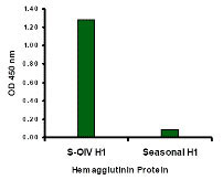 1 - Swine H1N1 Hemagglutinin Antibody ASC10929