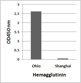10 - Avian Influenza A H7N9 Hemagglutinin Antibody ASC11805