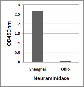10 - Avian Influenza A H7N9 Neuraminidase Antibody ASC11807