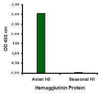 1 - Hemagglutinin Antibody [4F1F2]  ASC11974