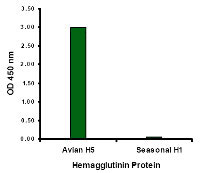 1 - Hemagglutinin Antibody [4H1C10]  ASC11975