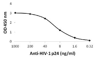 10 - HIV-1 p24 Antibody [8G9]  ASC12019
