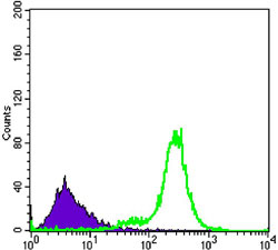 4 - IL34 Antibody AO1424a