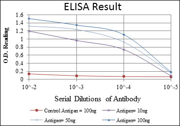 10 - PAX4 Antibody AO1507a