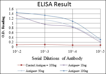 10 - E7 Antibody AO1531a