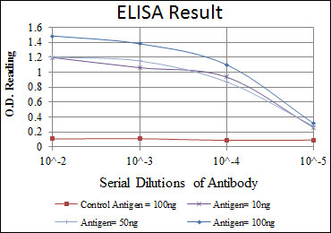 10 - BPTF Antibody AO1553a