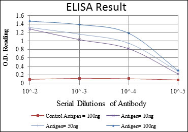 10 - SMN1 Antibody AO1572a