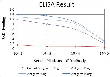 10 - GRIA3 Antibody AO1583a