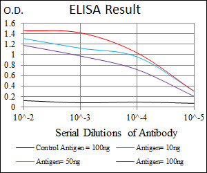 10 - TUBA8 Antibody AO1651a