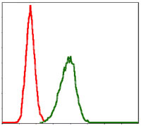 4 - LPlunc1 Antibody AO1652a