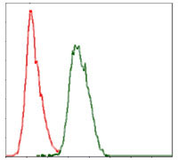 4 - COTL1 Antibody AO1672a