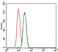 4 - mouse Lplunc1 Antibody AO1714a