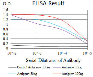 10 - NR6A1 Antibody AO1742a