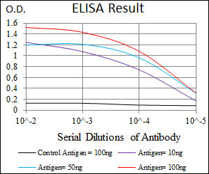 10 - PLK1 Antibody AO1743a