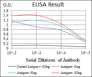 10 - RAG1 Antibody AO1762a