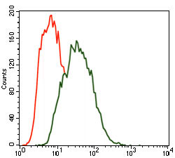 4 - MARK3 Antibody AO1766a