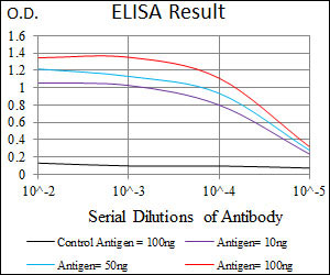 10 - SCGB1A1 Antibody AO1772a