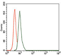 4 - SCGB1A1 Antibody AO1772a