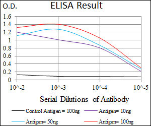 10 - MESP2 Antibody AO1789a