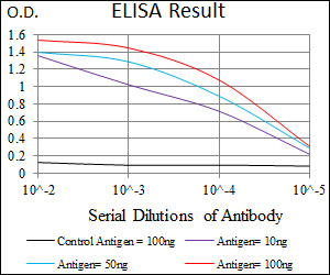 10 - WDR66 Antibody AO1793a