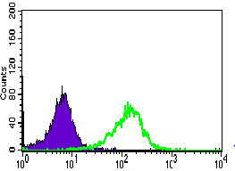 4 - WDR66 Antibody AO1793a