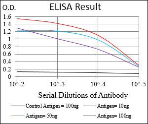 10 - SMCP Antibody AO1936a